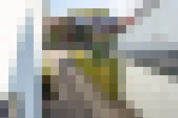 Schout Beyhartsstraat 6 Oisterwijk thumbnail 37