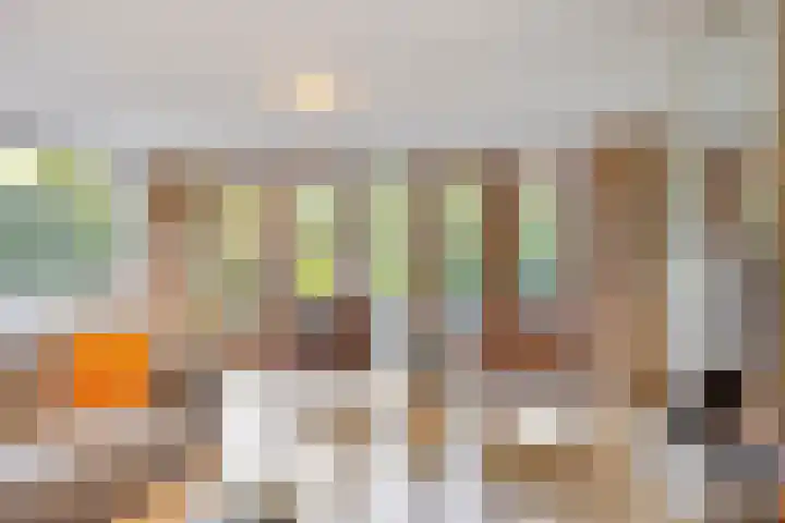 Schout Bigotlaan 3 's-Hertogenbosch thumbnail 14