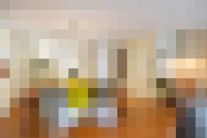 Schout Bigotlaan 3 's-Hertogenbosch thumbnail 16