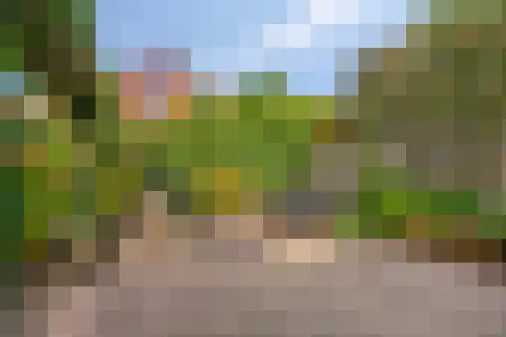 Schout Bigotlaan 3 's-Hertogenbosch thumbnail 54