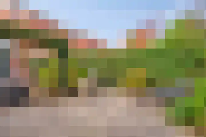 Schout Bigotlaan 3 's-Hertogenbosch thumbnail 55