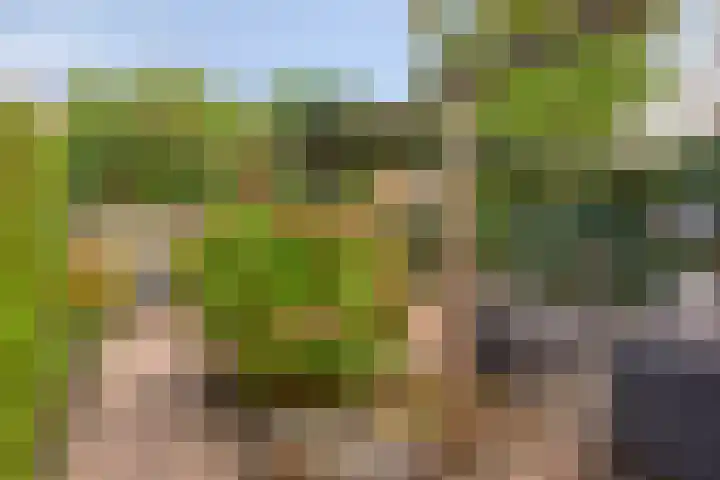 Schout Bigotlaan 3 's-Hertogenbosch thumbnail 57
