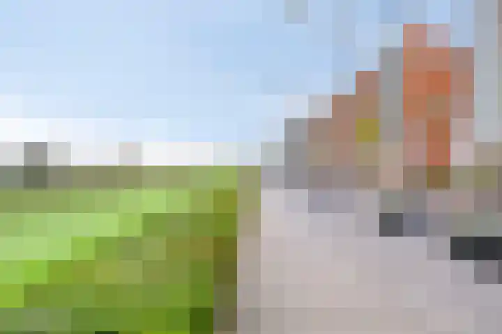 Schout Bigotlaan 3 's-Hertogenbosch thumbnail 62