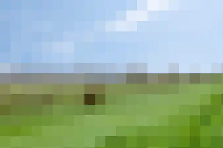 Schout Bigotlaan 3 's-Hertogenbosch thumbnail 63