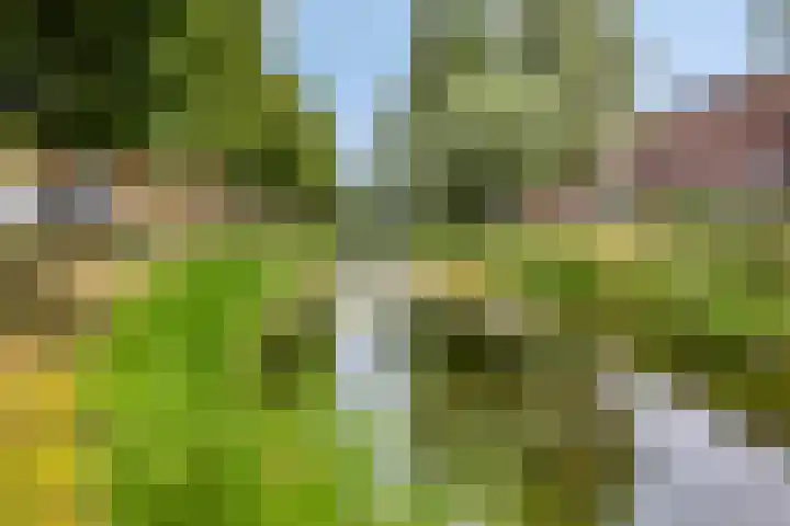Schout Bigotlaan 5 's-Hertogenbosch thumbnail 42