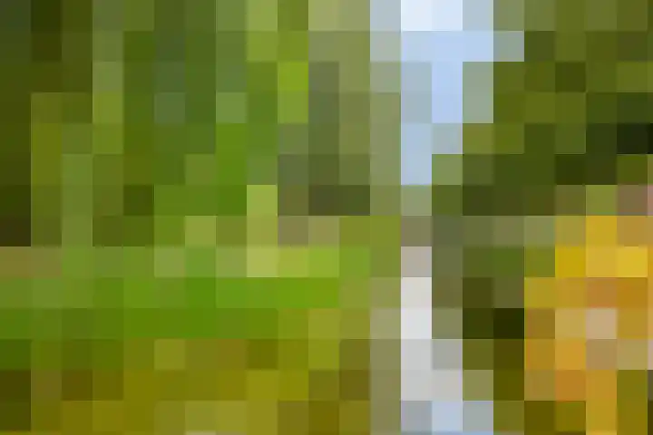 Schout Bigotlaan 5 's-Hertogenbosch thumbnail 43