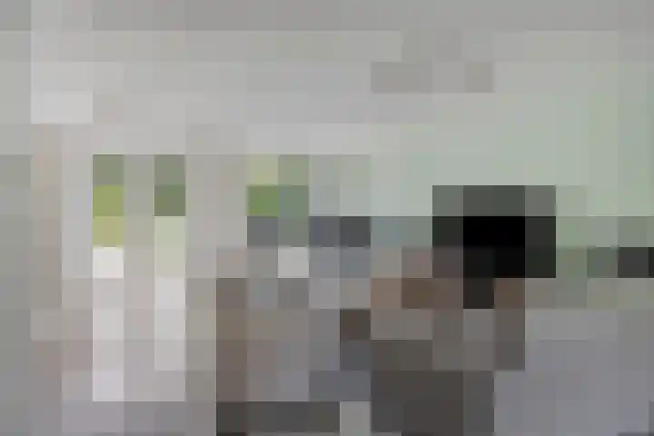 Schout Bigotlaan 5 's-Hertogenbosch thumbnail 5