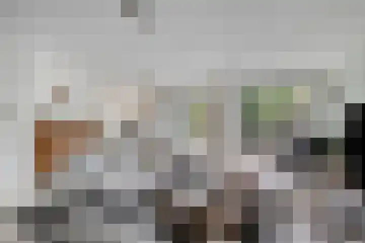 Schout Bigotlaan 5 's-Hertogenbosch thumbnail 6