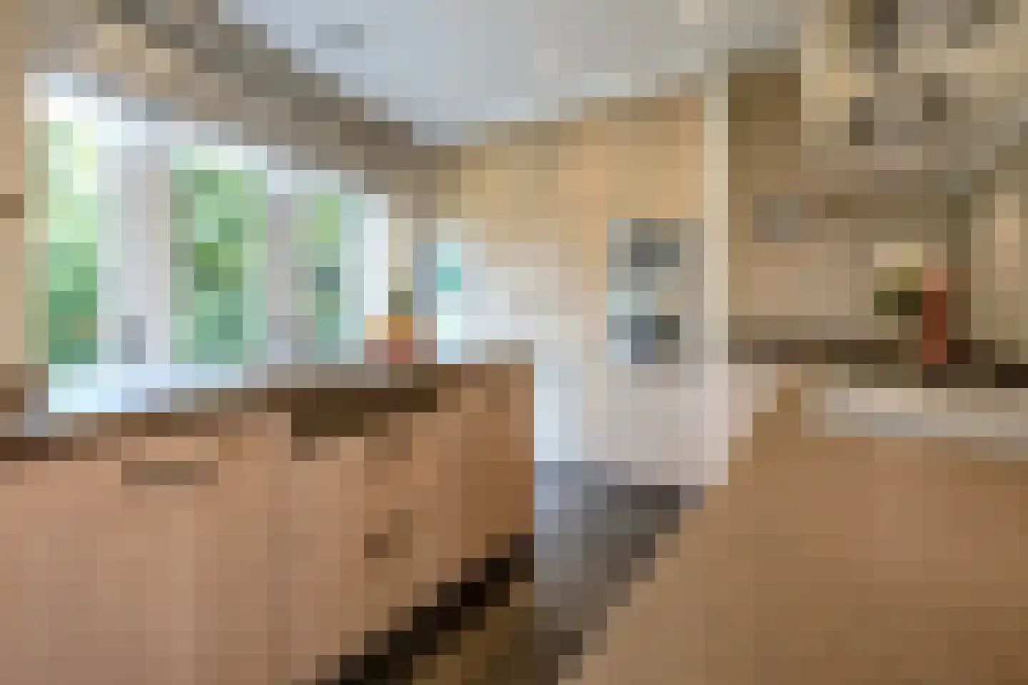 Schout bij Nacht Doormanlaan 12 Wassenaar thumbnail 10