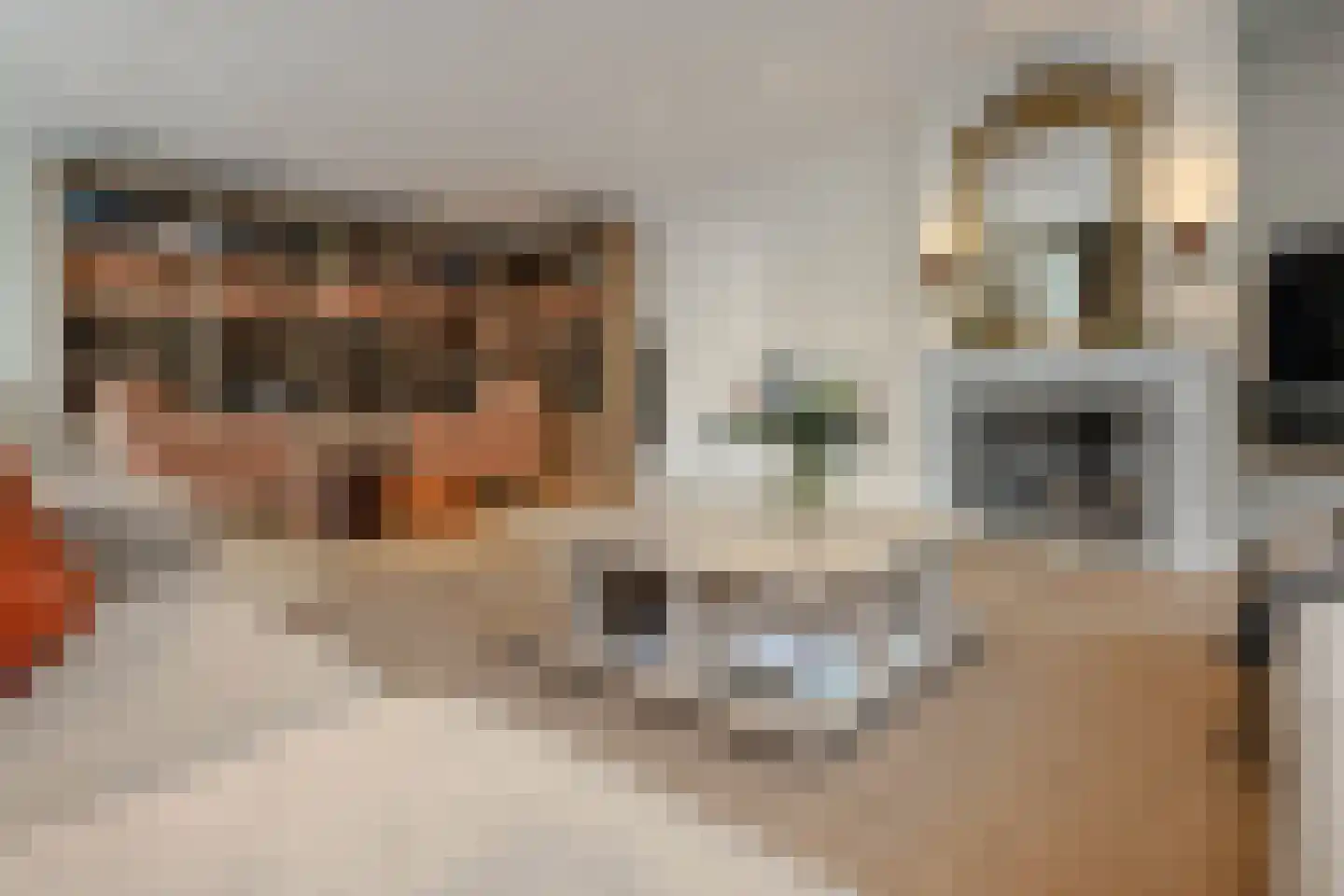 Schout bij Nacht Doormanlaan 12 Wassenaar thumbnail 12