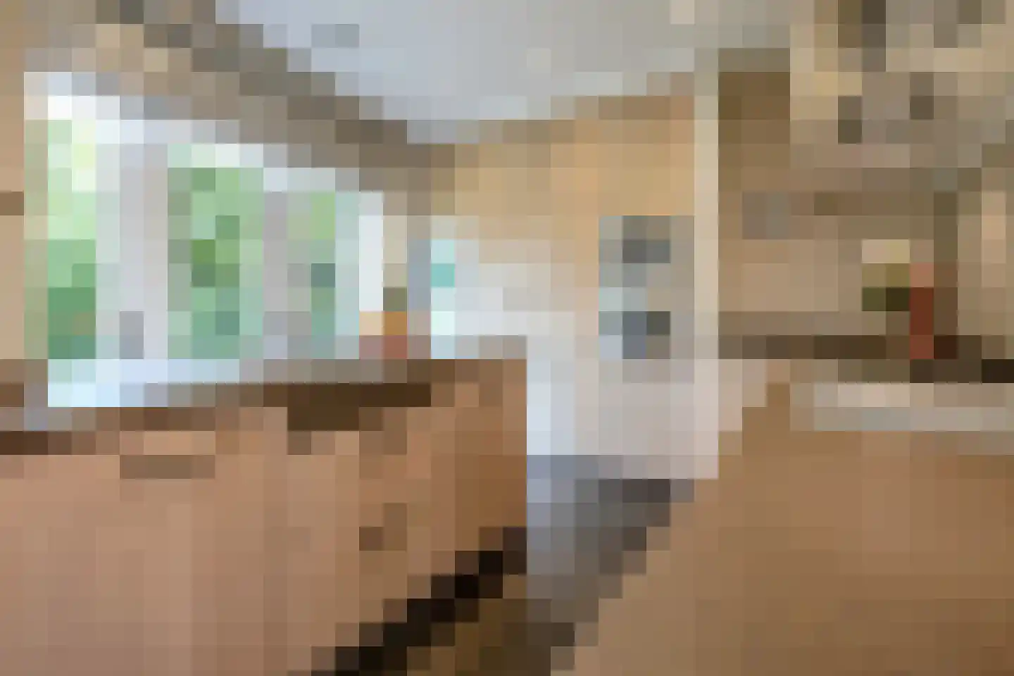 Schout bij Nacht Doormanlaan 12 Wassenaar thumbnail 13
