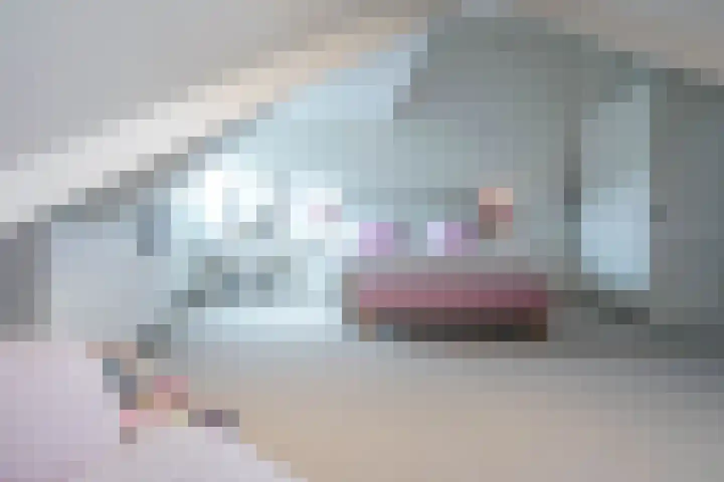 Schout bij Nacht Doormanlaan 12 Wassenaar thumbnail 18