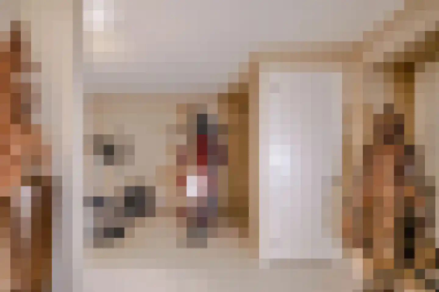Schout bij Nacht Doormanlaan 12 Wassenaar thumbnail 23