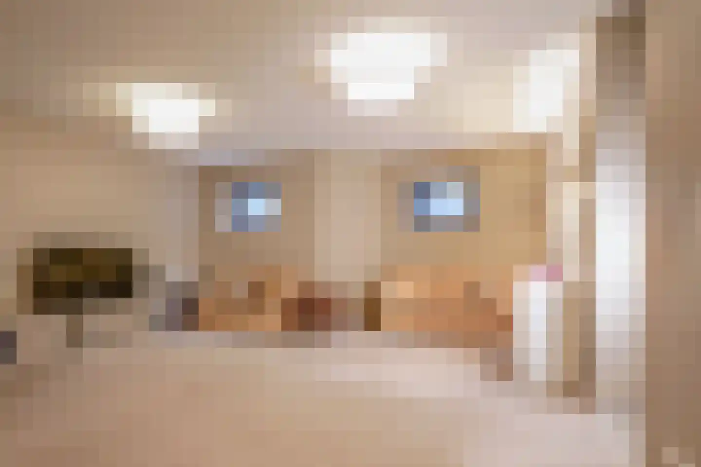 Schout bij Nacht Doormanlaan 12 Wassenaar thumbnail 24