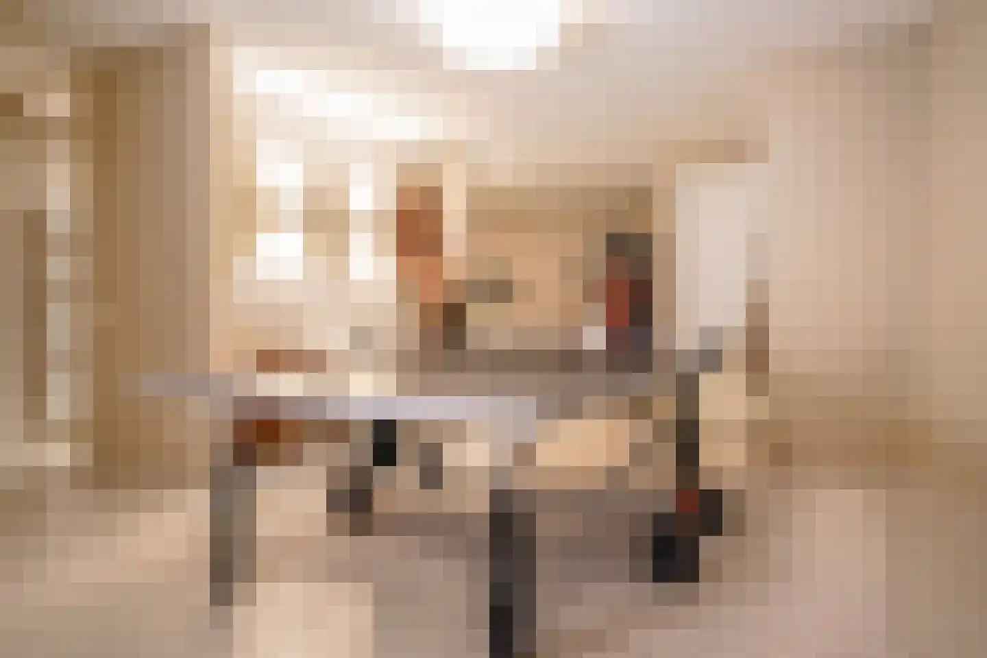 Schout bij Nacht Doormanlaan 12 Wassenaar thumbnail 25