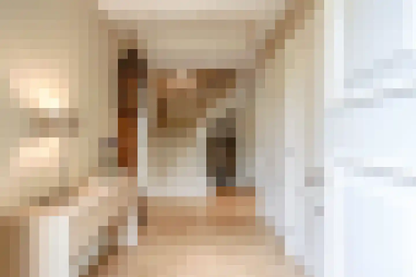 Schout bij Nacht Doormanlaan 12 Wassenaar thumbnail 5