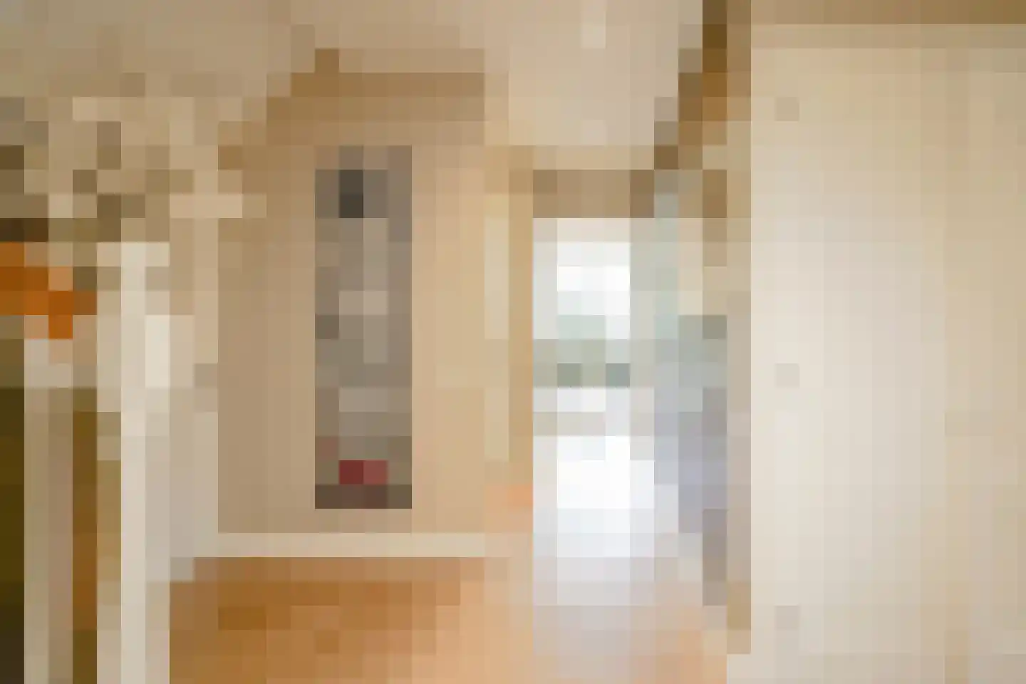 Schout bij Nacht Doormanlaan 12 Wassenaar thumbnail 6