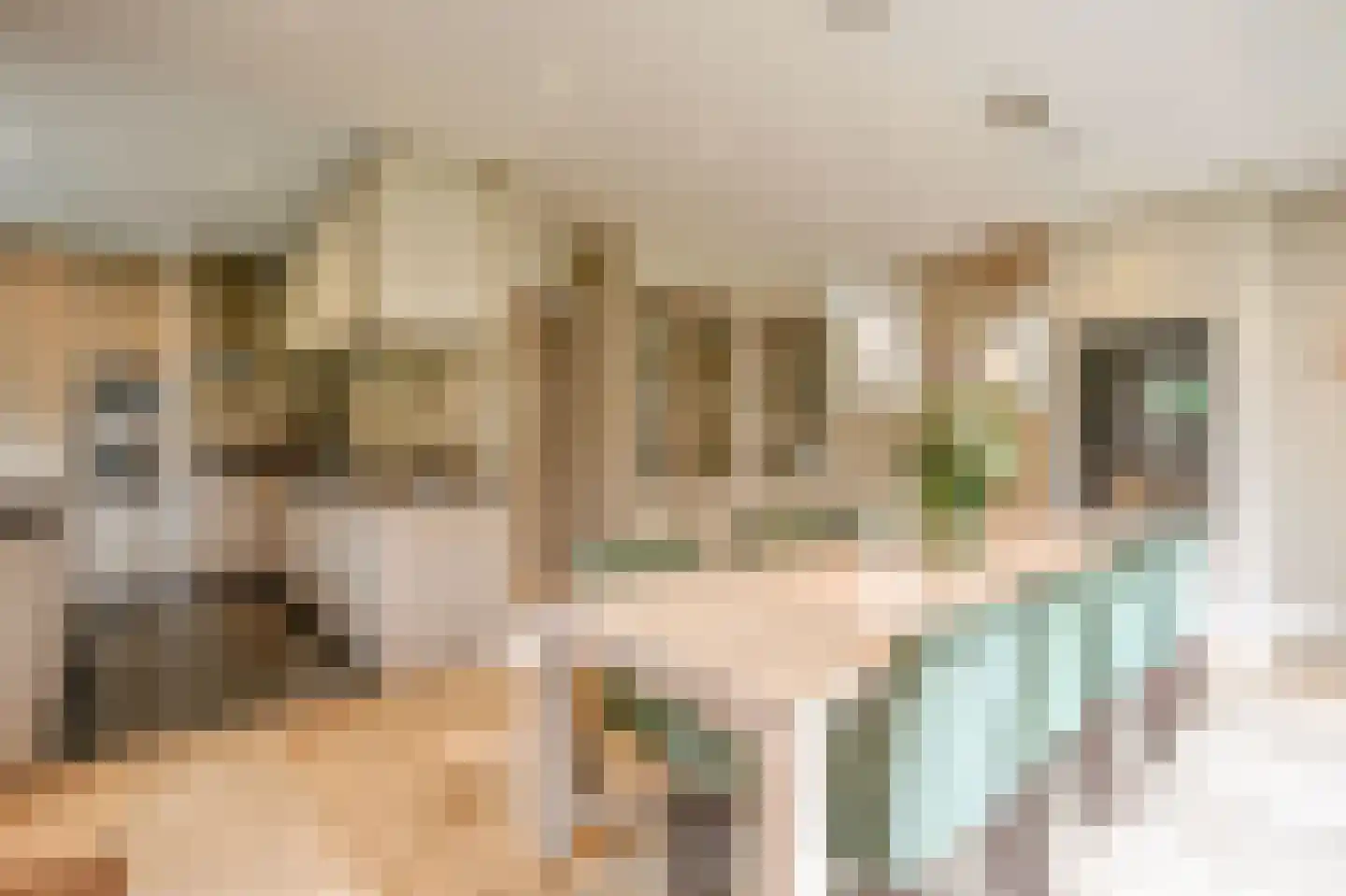 Schout bij Nacht Doormanlaan 12 Wassenaar thumbnail 7