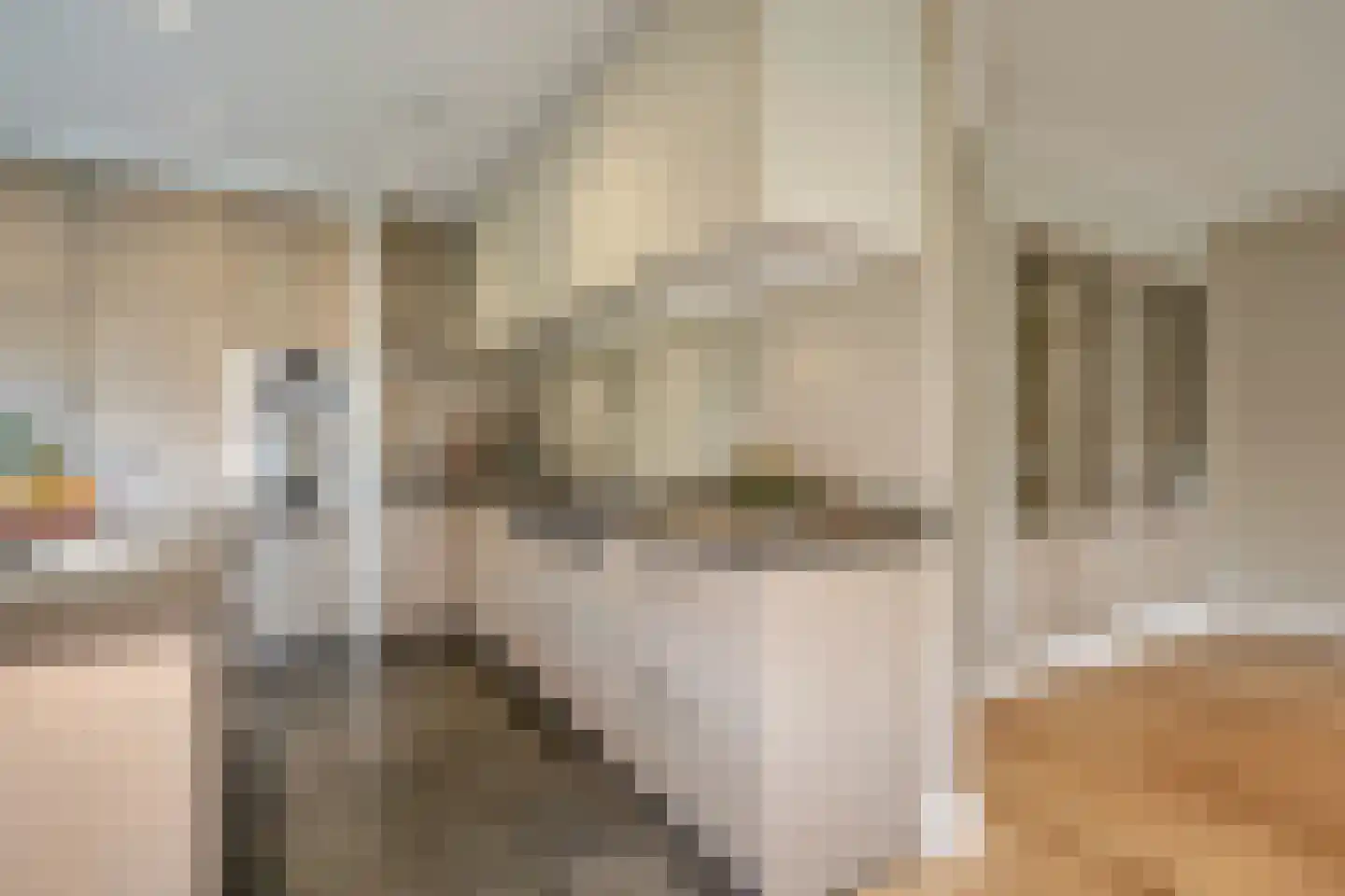 Schout bij Nacht Doormanlaan 12 Wassenaar thumbnail 9