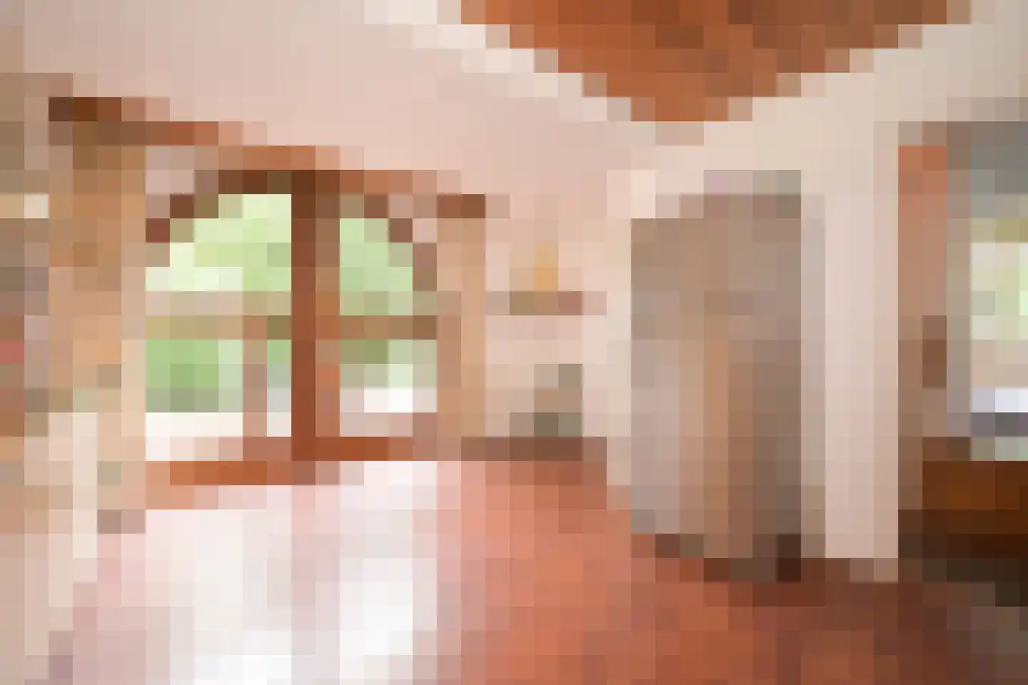 Schout bij Nacht Doormanlaan 2 Wassenaar thumbnail 11