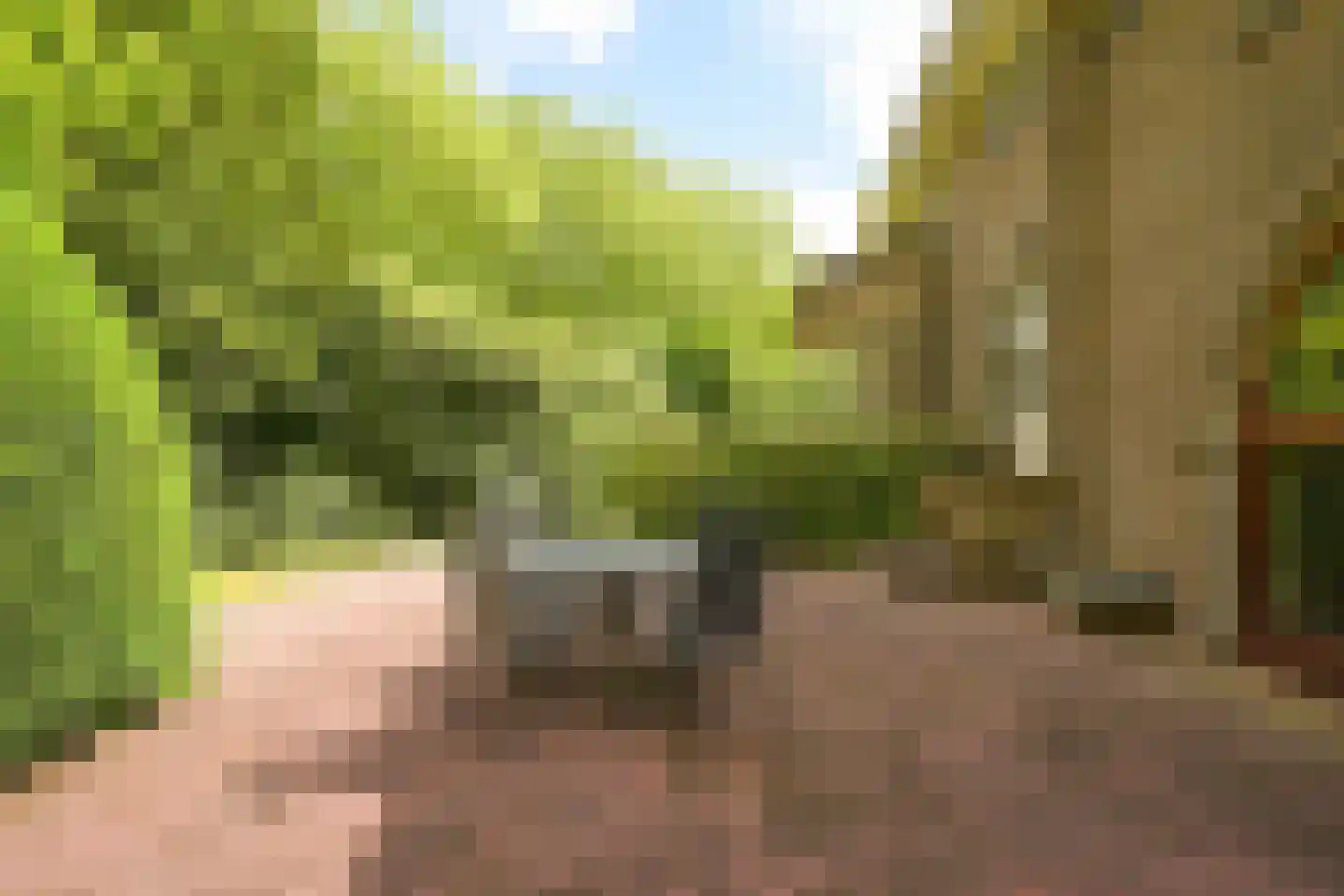 Schout bij Nacht Doormanlaan 2 Wassenaar thumbnail 12