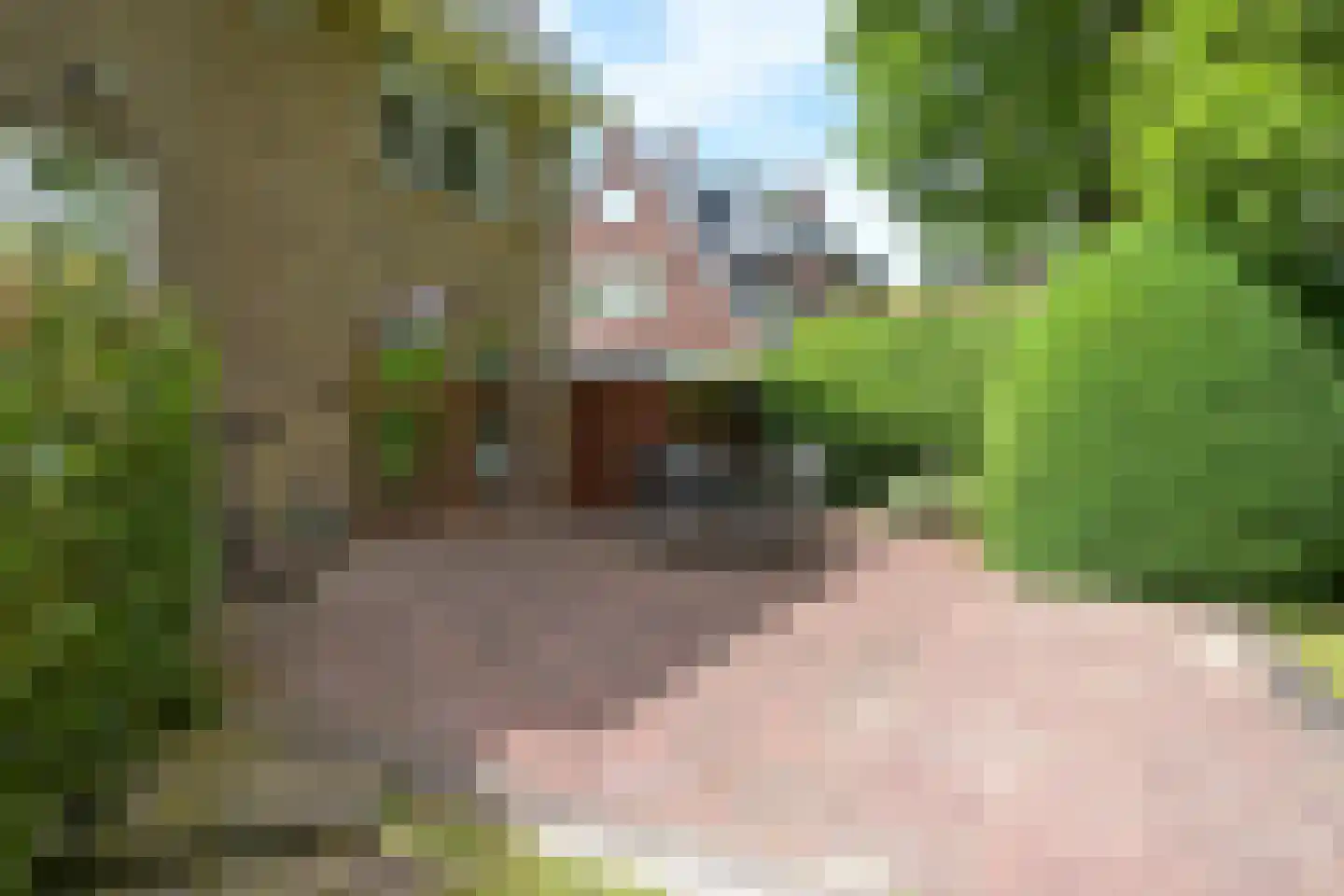 Schout bij Nacht Doormanlaan 2 Wassenaar thumbnail 13