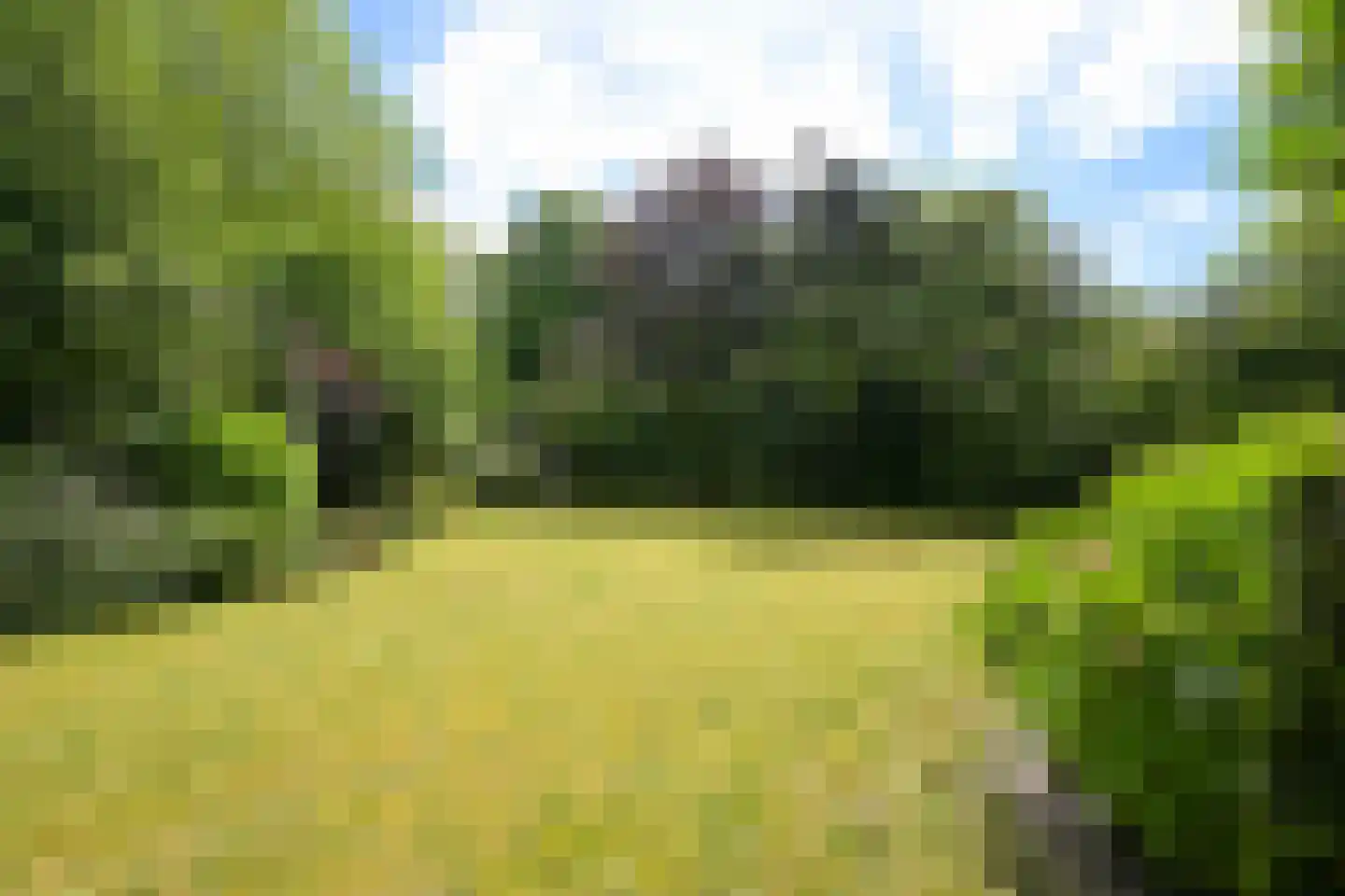 Schout bij Nacht Doormanlaan 2 Wassenaar thumbnail 14