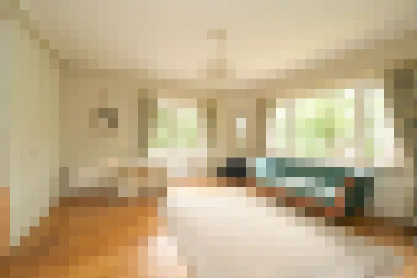 Schout bij Nacht Doormanlaan 2 Wassenaar thumbnail 16
