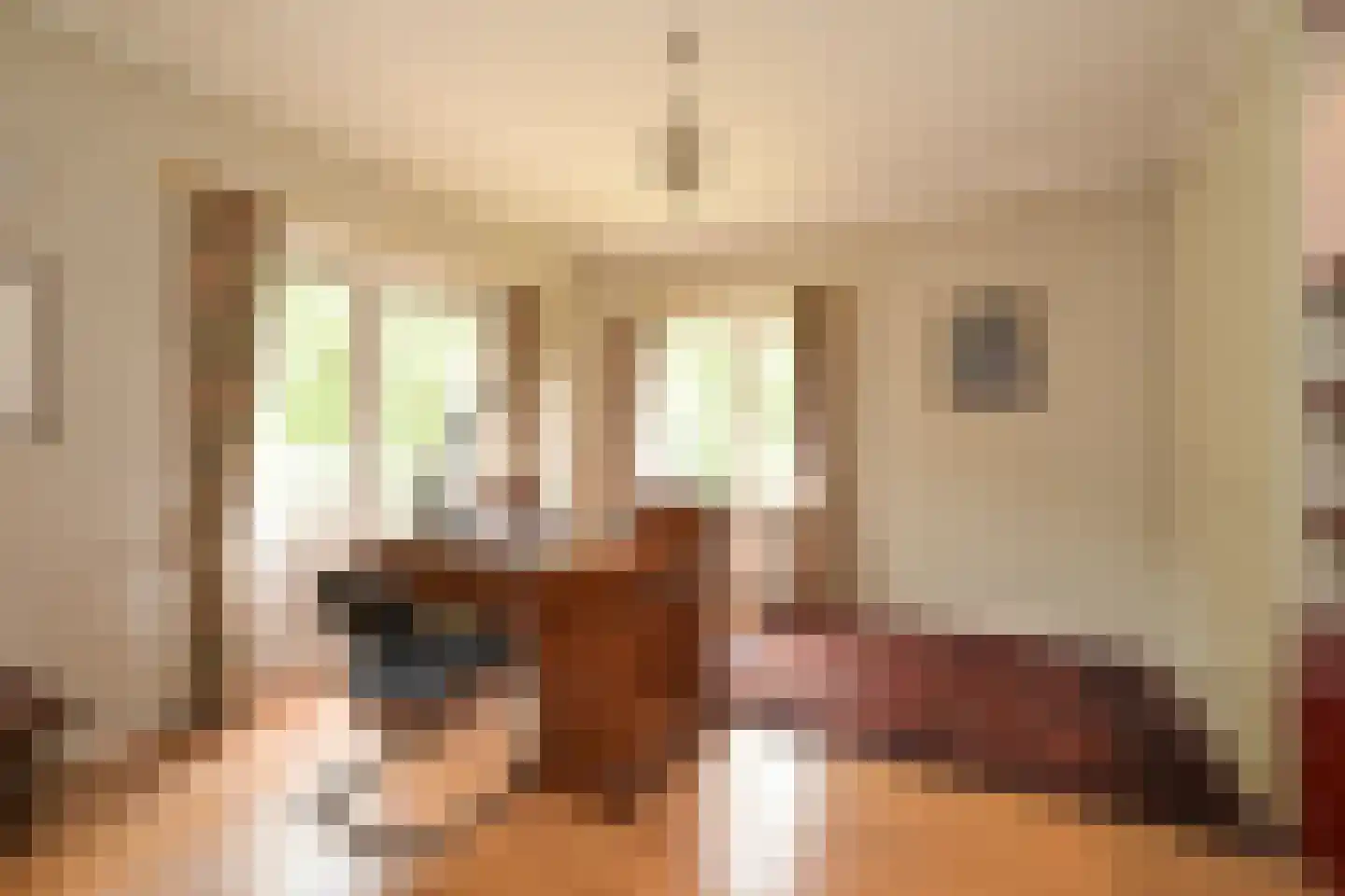 Schout bij Nacht Doormanlaan 2 Wassenaar thumbnail 18