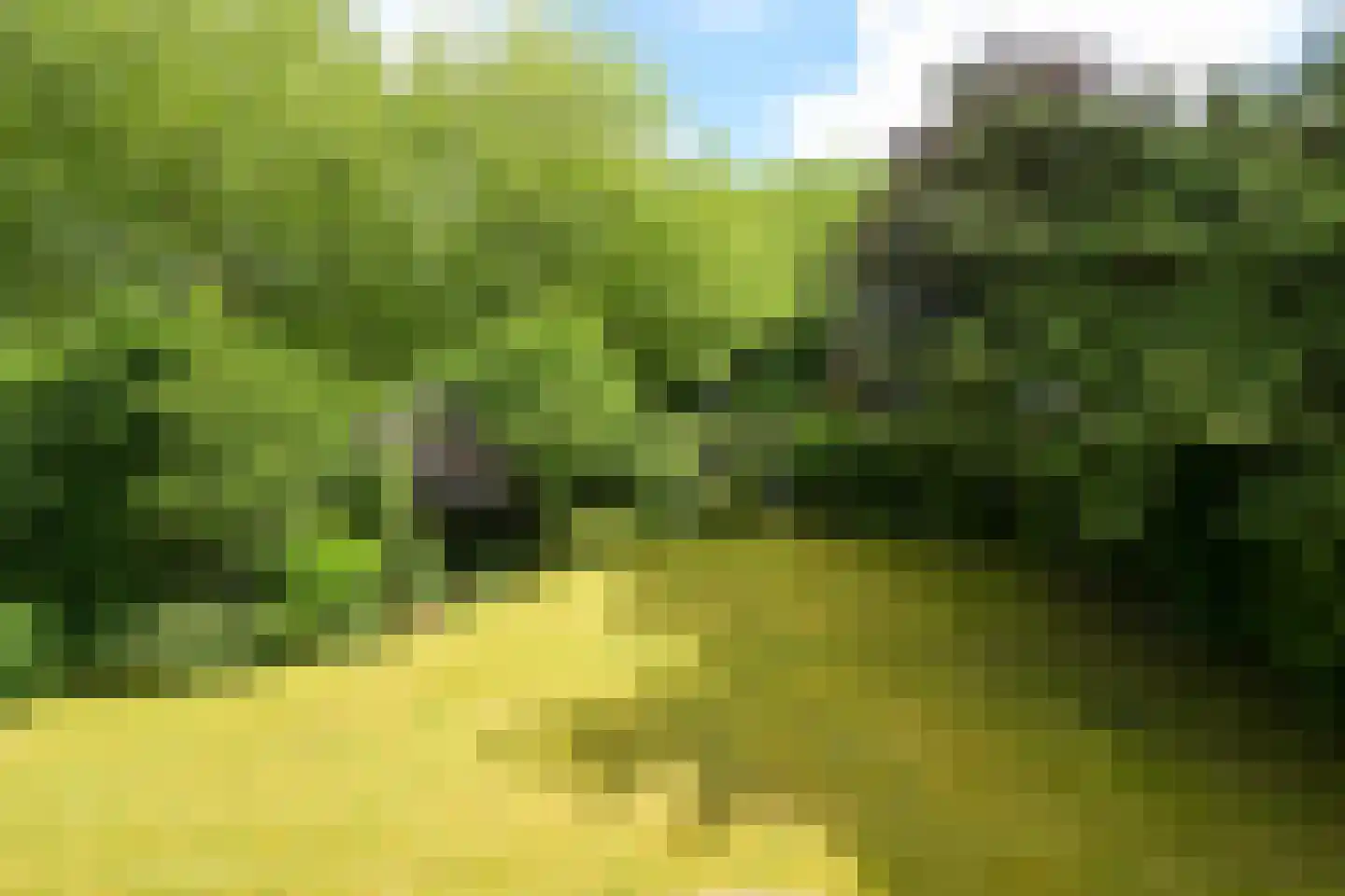 Schout bij Nacht Doormanlaan 2 Wassenaar thumbnail 19