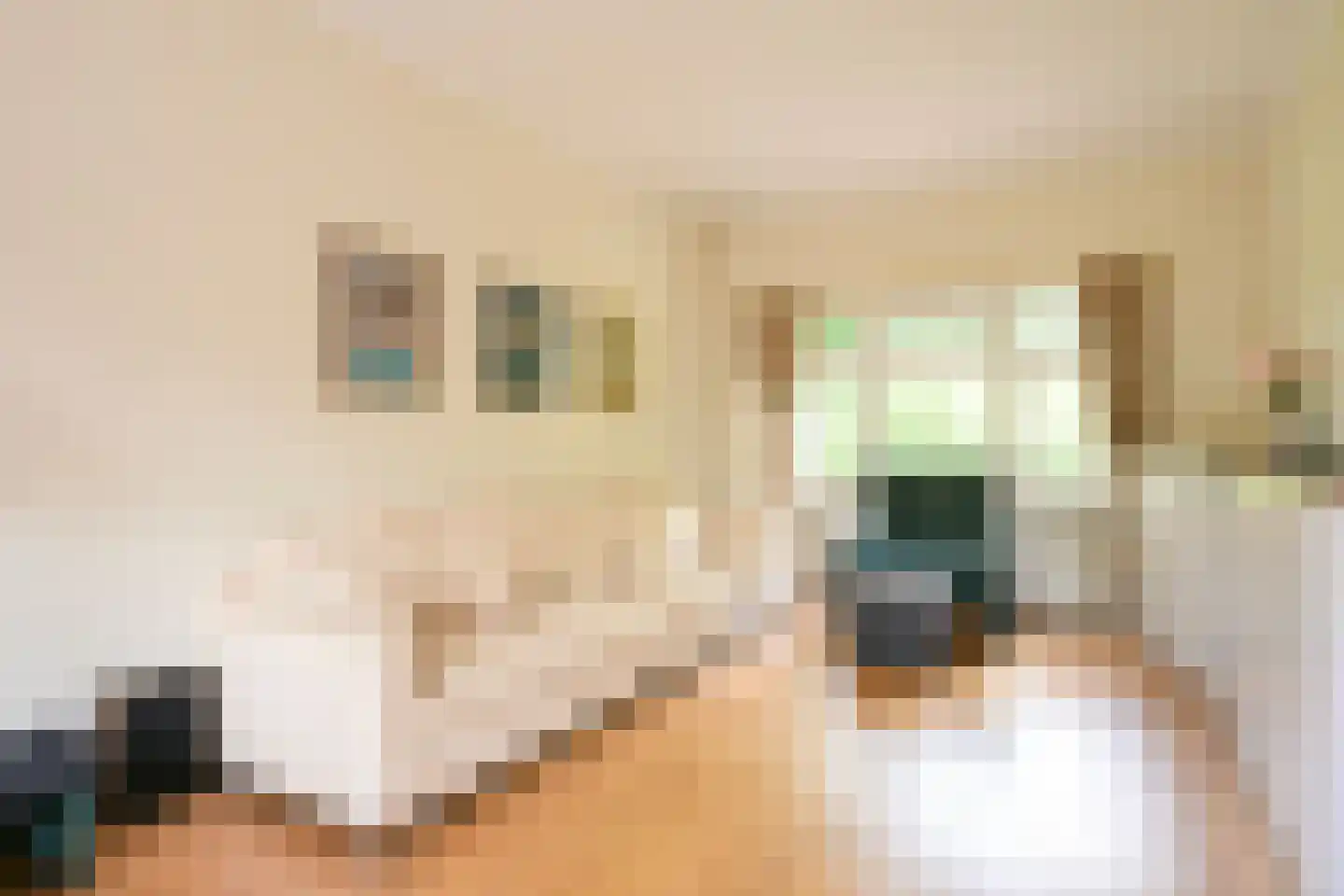 Schout bij Nacht Doormanlaan 2 Wassenaar thumbnail 22