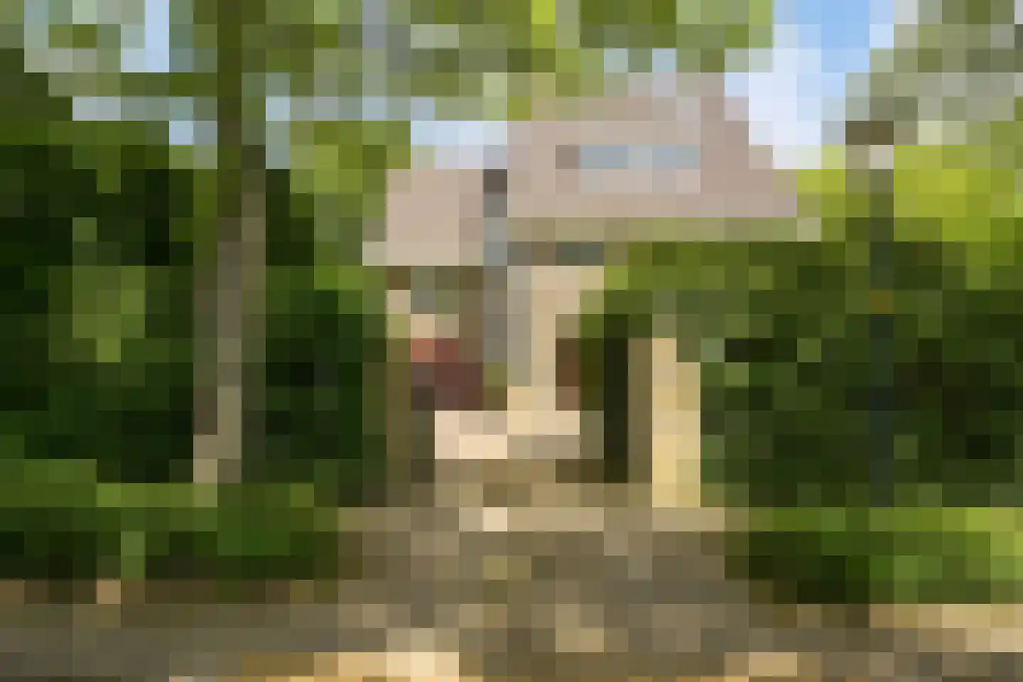 Schout bij Nacht Doormanlaan 2 Wassenaar thumbnail 29