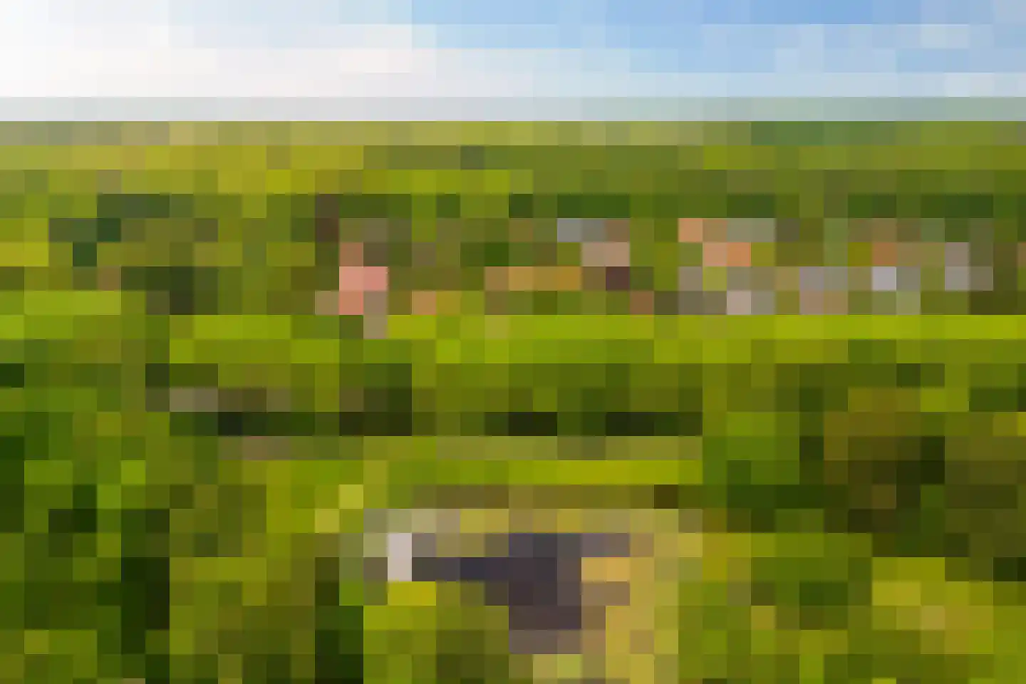 Schout bij Nacht Doormanlaan 2 Wassenaar thumbnail 30