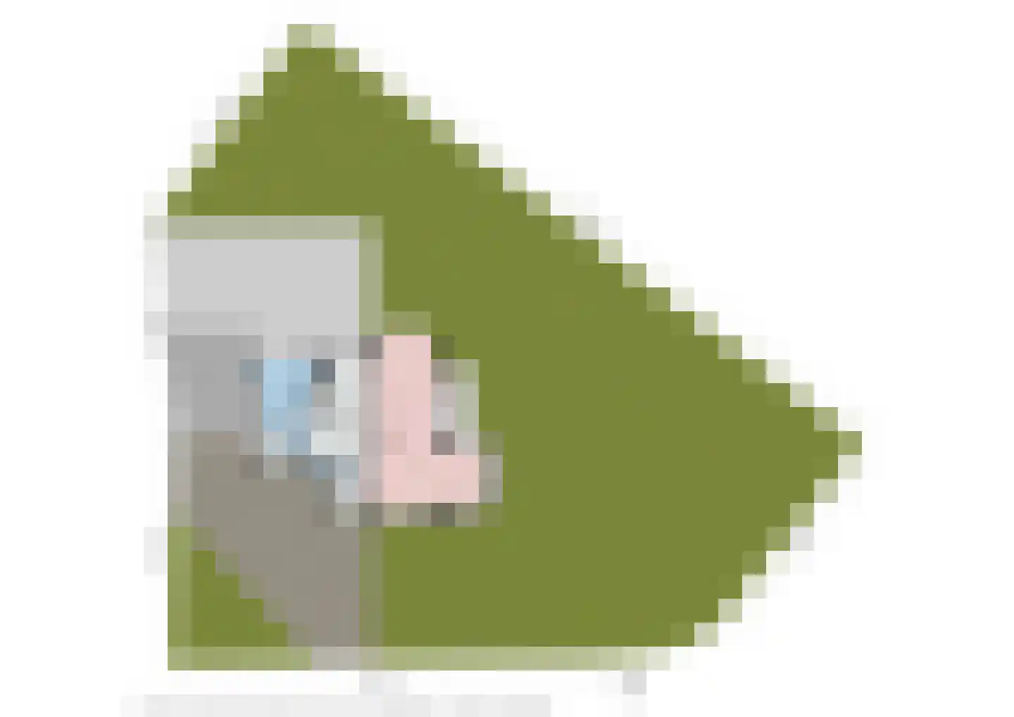Schout bij Nacht Doormanlaan 2 Wassenaar thumbnail 31