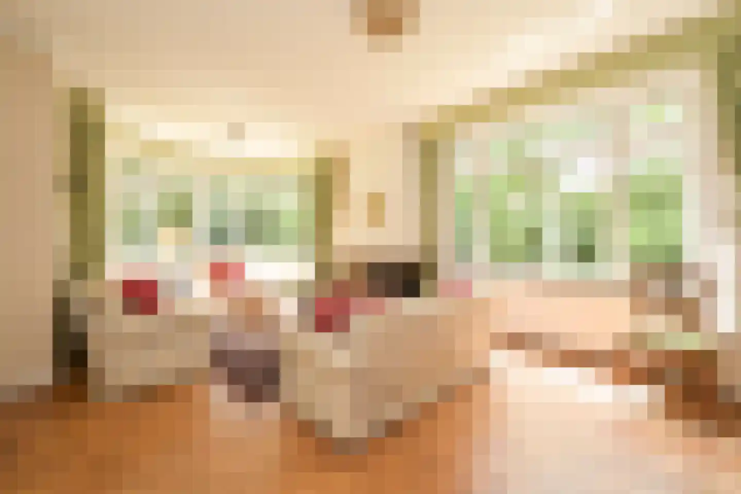 Schout bij Nacht Doormanlaan 2 Wassenaar thumbnail 6