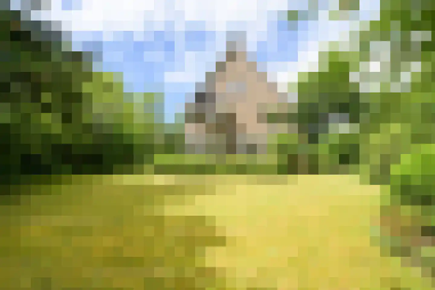 Schout bij Nacht Doormanlaan 2 Wassenaar thumbnail 7