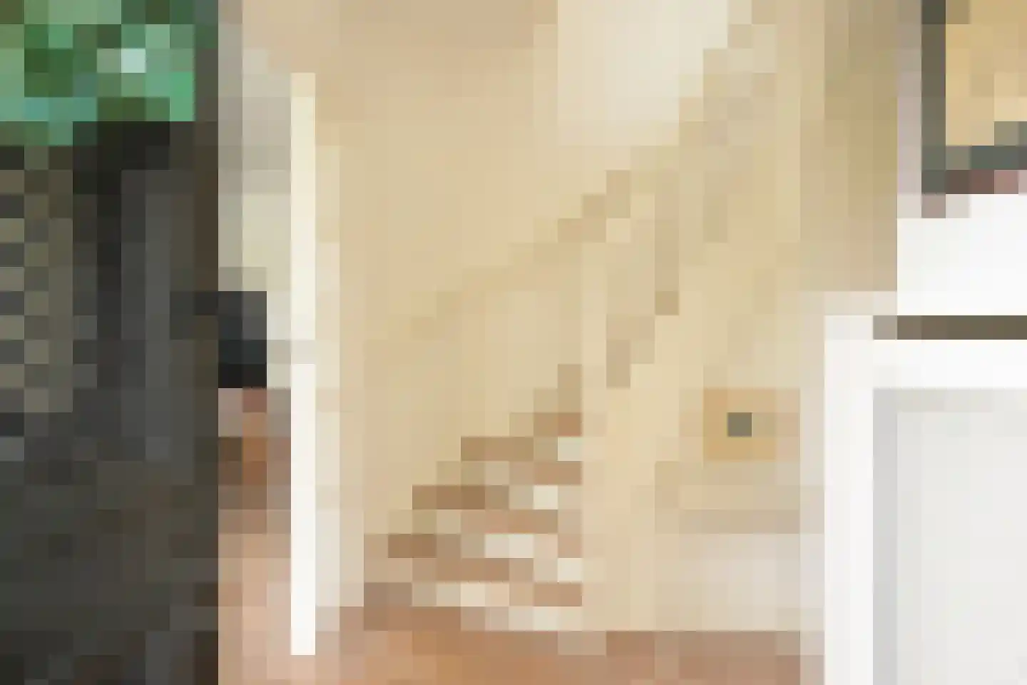 Schout bij Nacht Doormanlaan 25 Wassenaar thumbnail 12