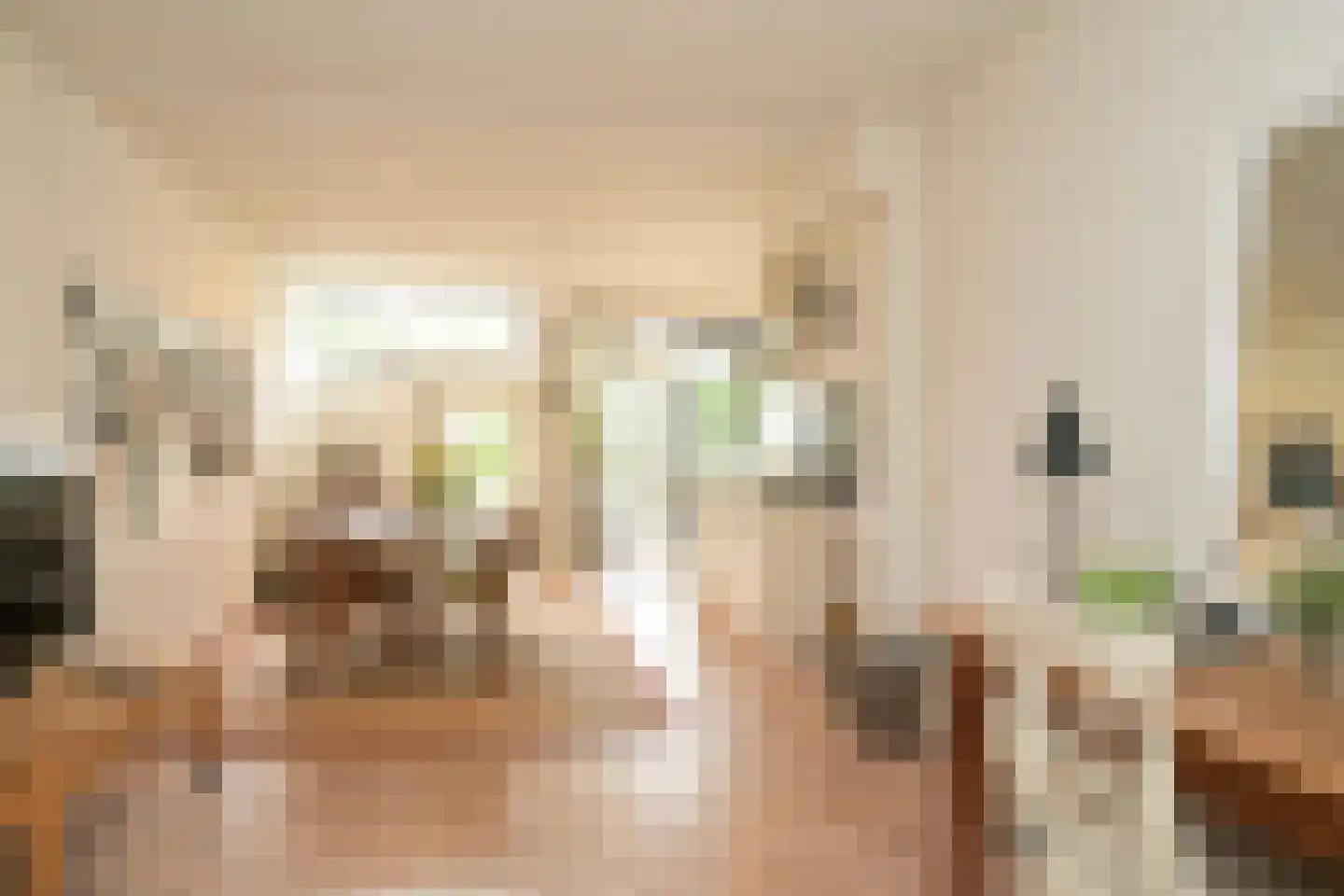 Schout bij Nacht Doormanlaan 25 Wassenaar thumbnail 19