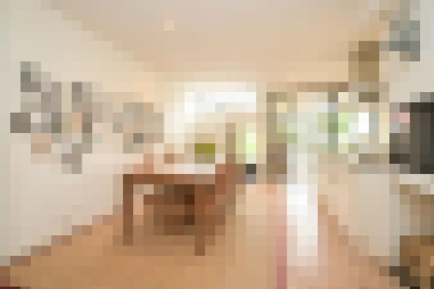 Schout bij Nacht Doormanlaan 25 Wassenaar thumbnail 20