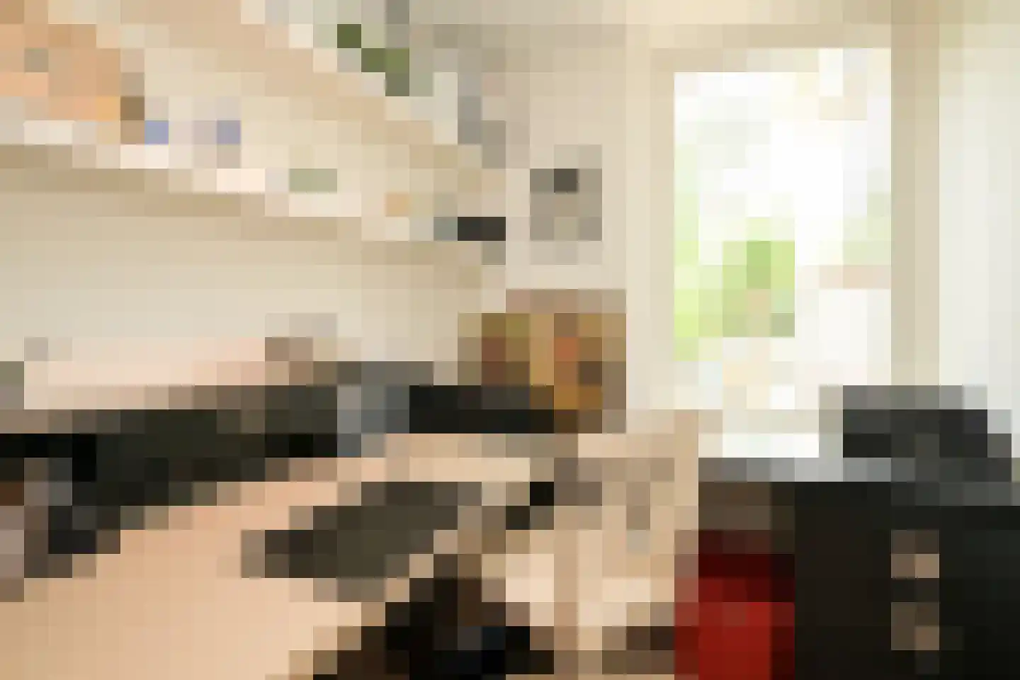 Schout bij Nacht Doormanlaan 25 Wassenaar thumbnail 23