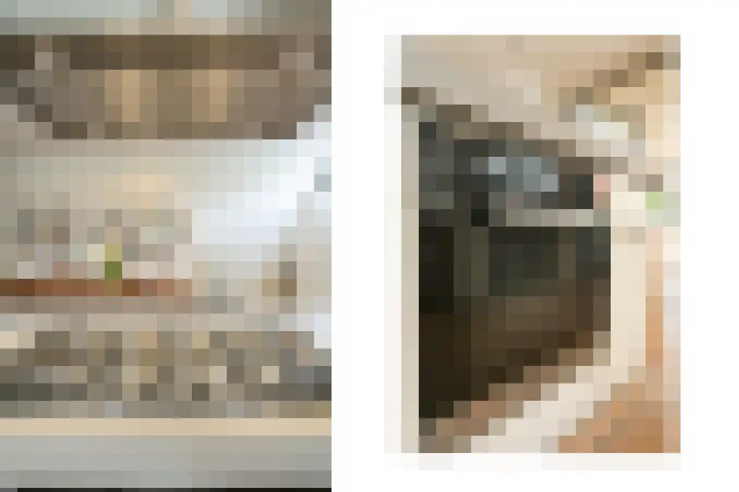 Schout bij Nacht Doormanlaan 25 Wassenaar thumbnail 25