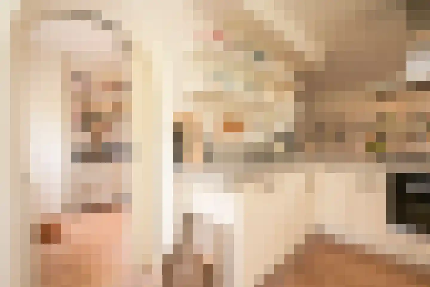 Schout bij Nacht Doormanlaan 25 Wassenaar thumbnail 27