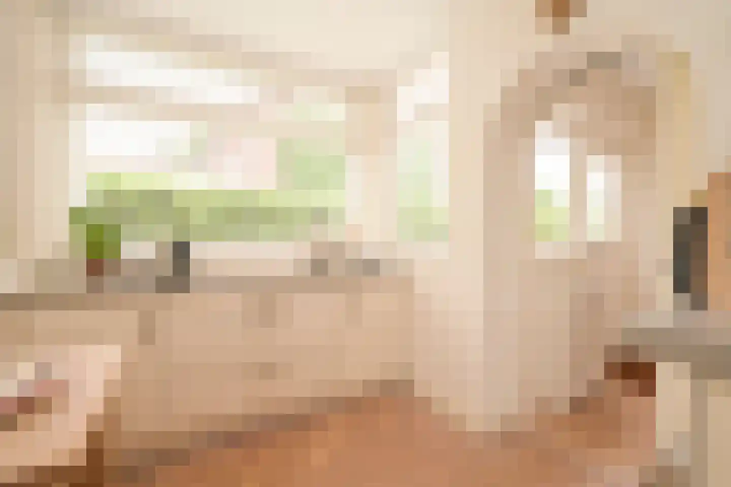 Schout bij Nacht Doormanlaan 25 Wassenaar thumbnail 28