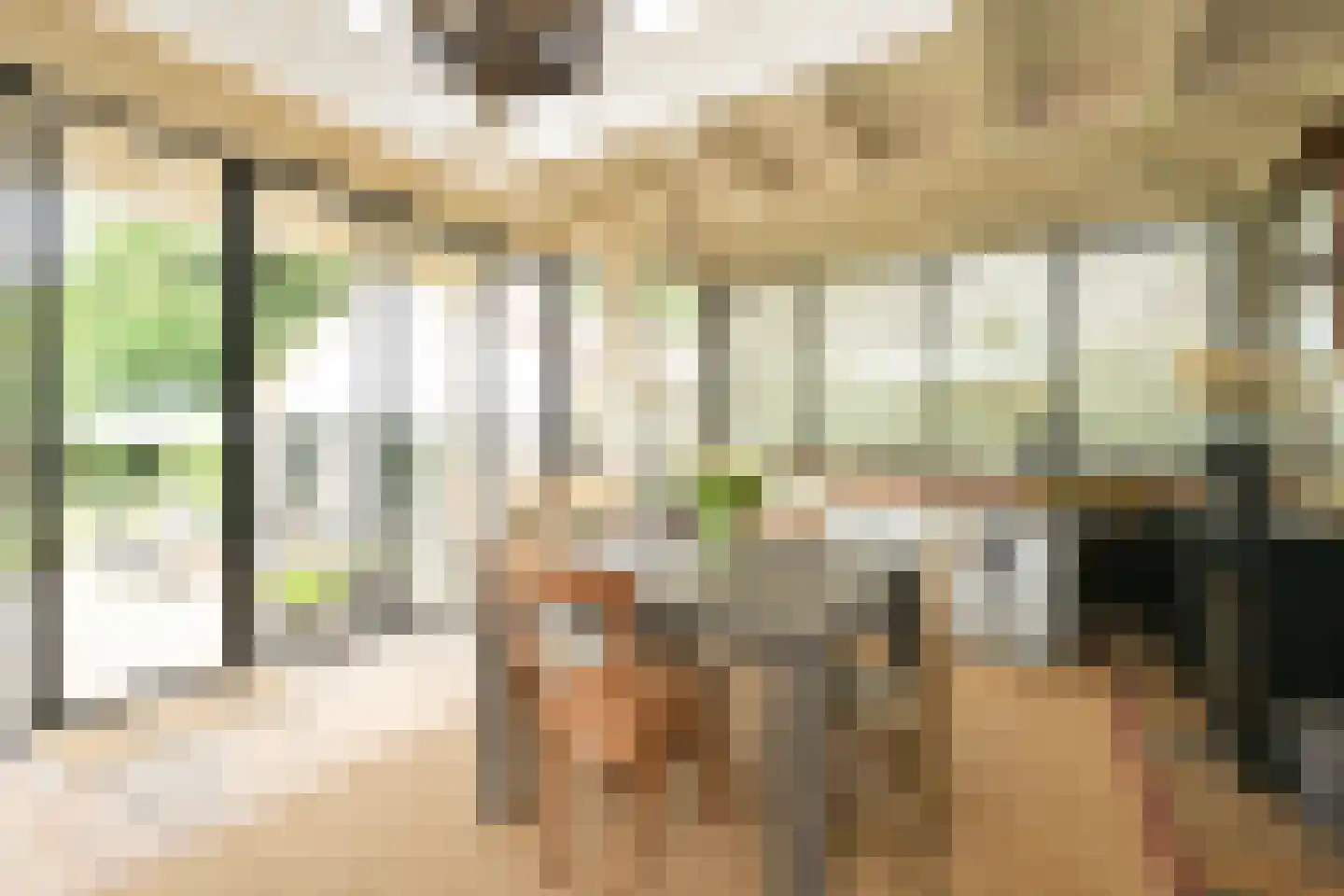 Schout bij Nacht Doormanlaan 25 Wassenaar thumbnail 30