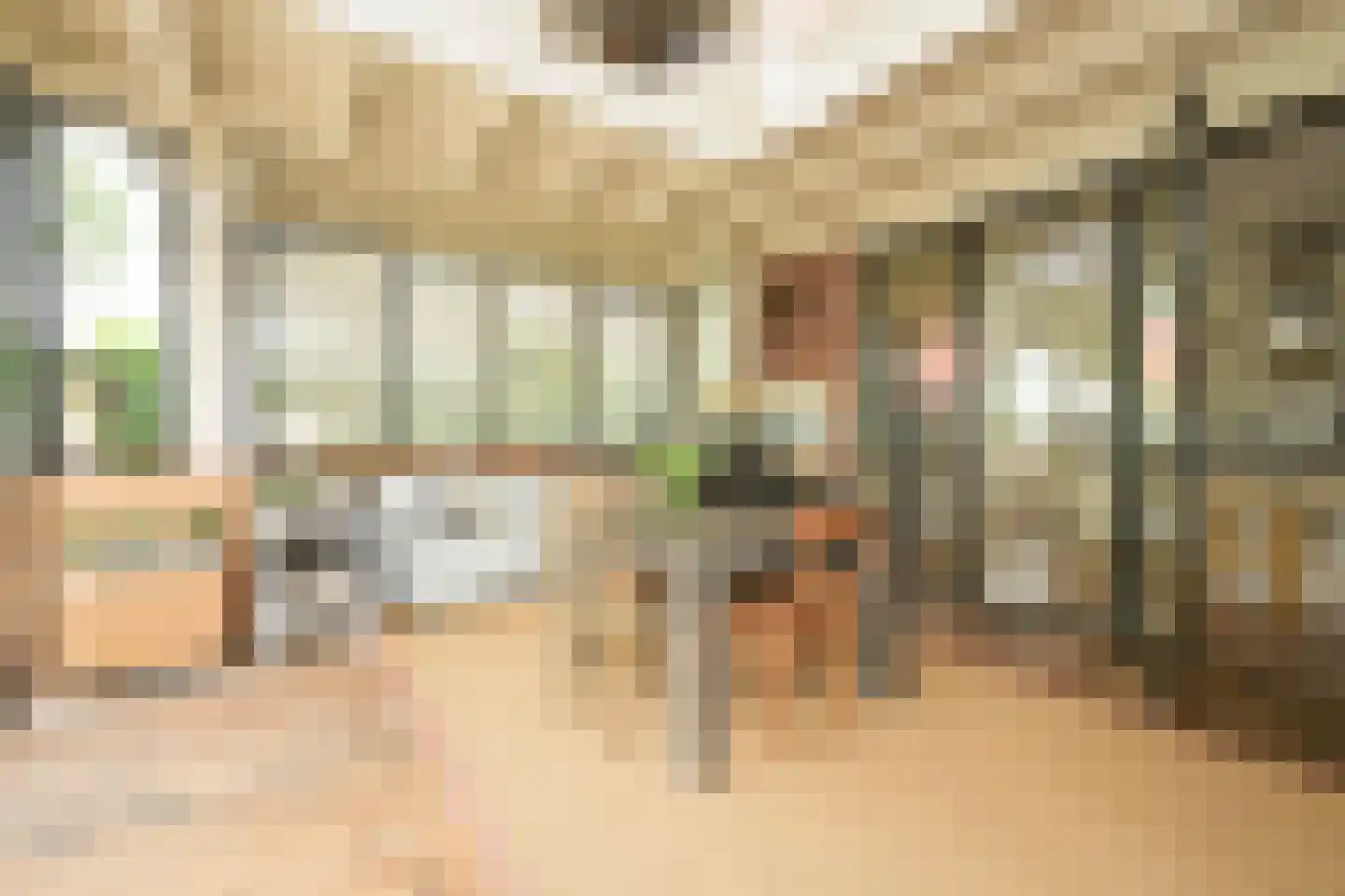 Schout bij Nacht Doormanlaan 25 Wassenaar thumbnail 31