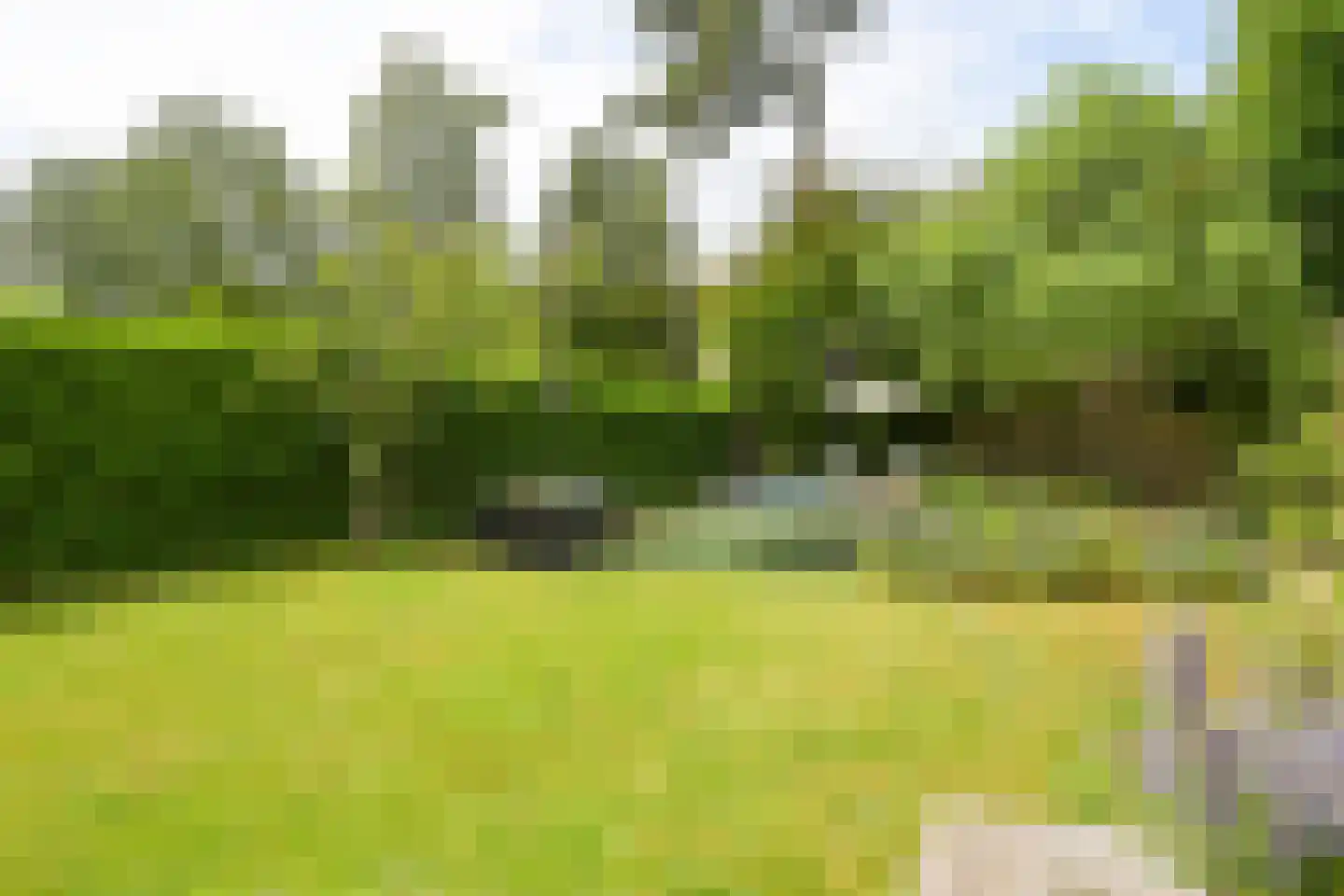 Schout bij Nacht Doormanlaan 25 Wassenaar thumbnail 39