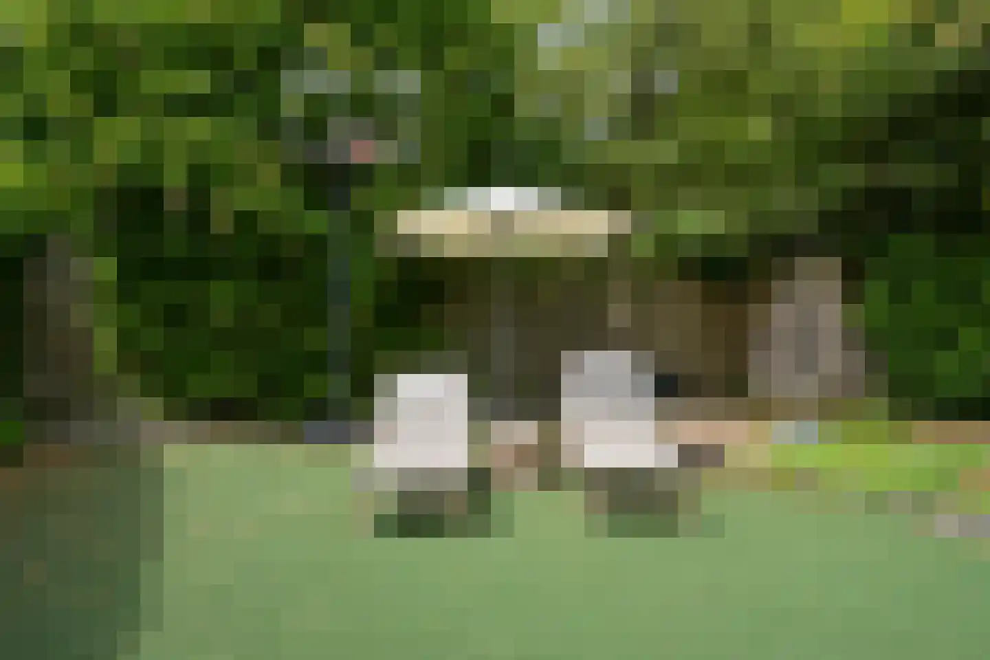 Schout bij Nacht Doormanlaan 25 Wassenaar thumbnail 45
