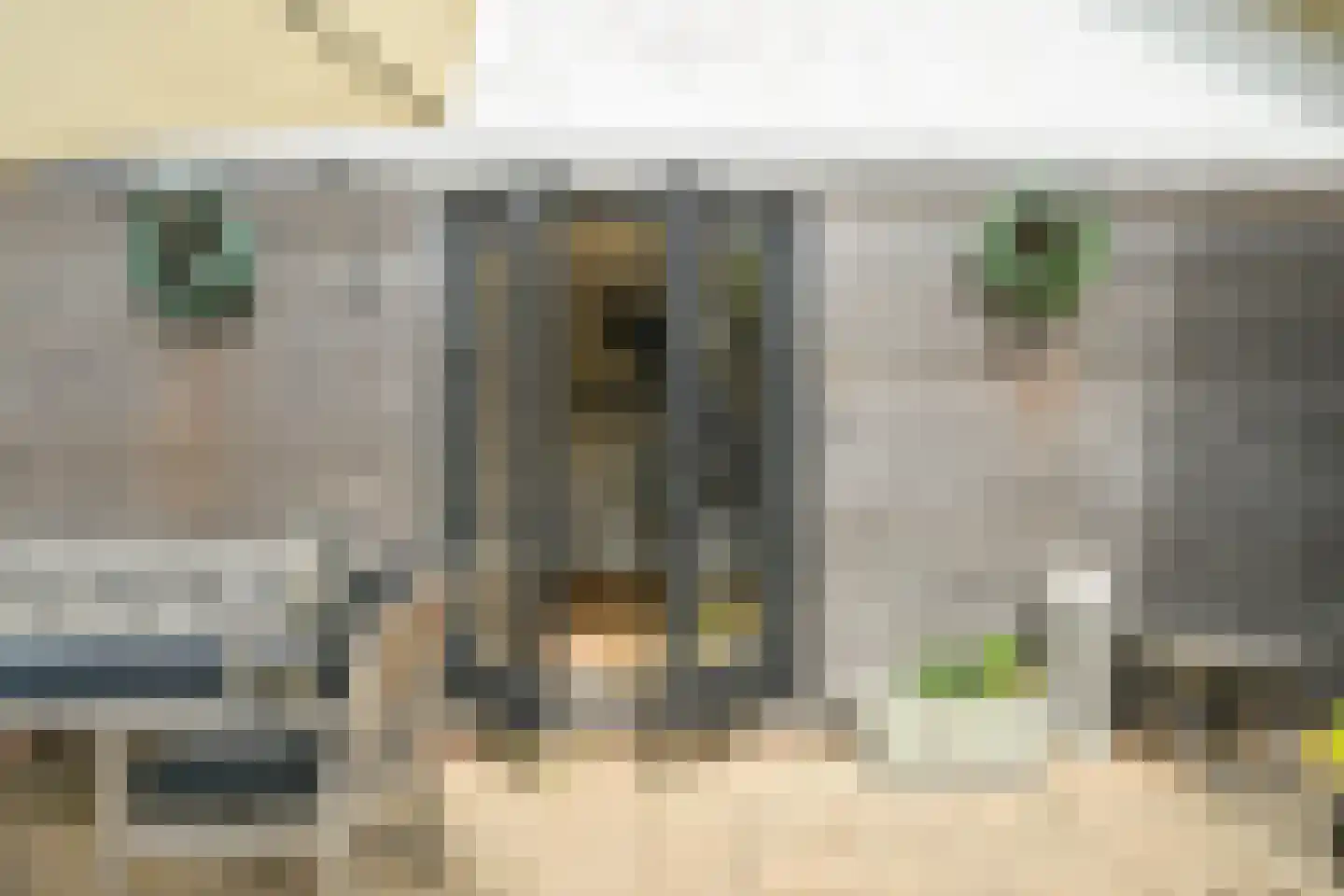 Schout bij Nacht Doormanlaan 25 Wassenaar thumbnail 48