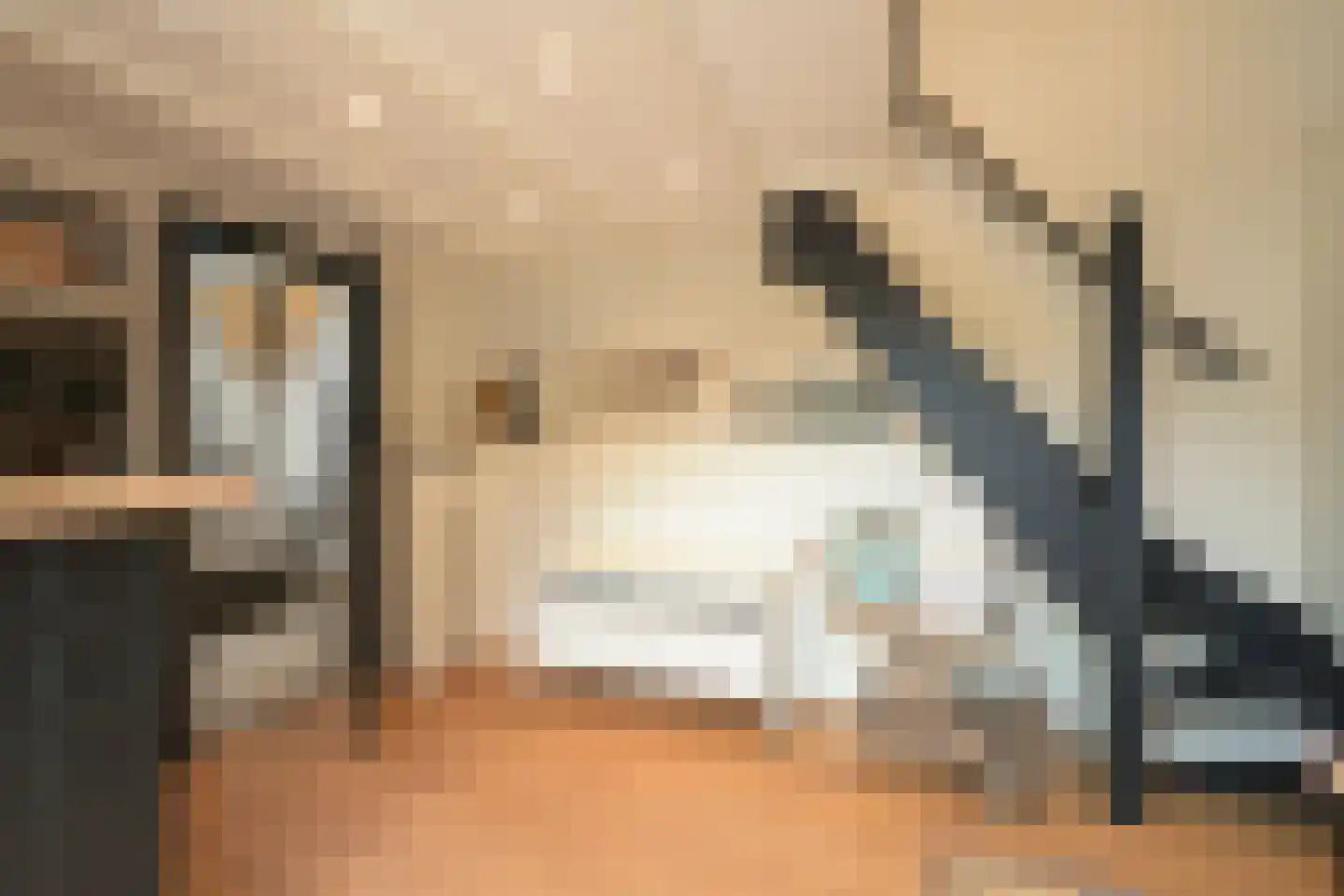 Schout bij Nacht Doormanlaan 25 Wassenaar thumbnail 49