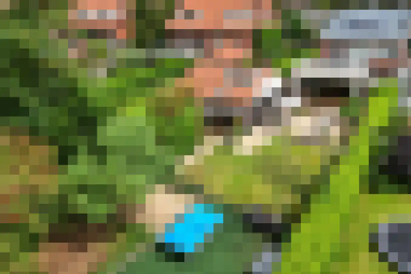 Schout bij Nacht Doormanlaan 25 Wassenaar thumbnail 5